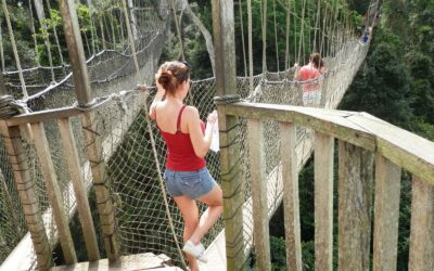 Kakum National Park